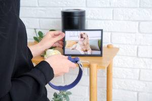 2026-02-–-Eternal-Life-Cremation-Services-–-BLOGQR4.1-Pet-Memorial-Ideas