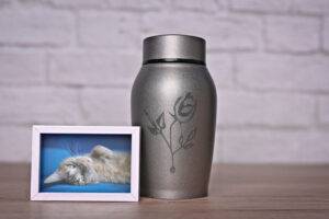 2026-05-–-Eternal-Life-Cremation-Services-–-BLOGQR4.2-Environmental-Benefits-of-Pet-Cremation